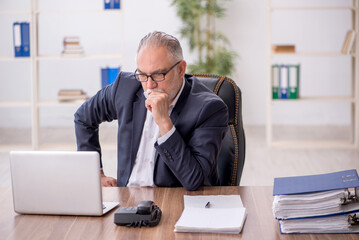 Naklejka premium Old male employee working in the office