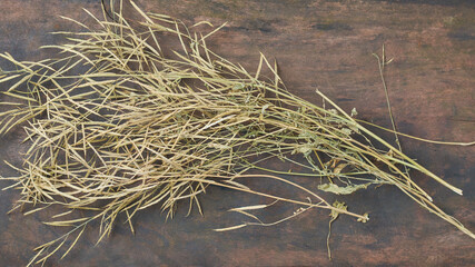 matured and dry brown mustard pods, to be threshed or separate the seeds from the stem, close-up view on wooden surface or table top background, selective focus and taken straight from above