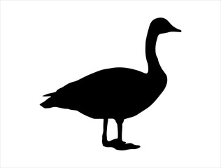 Canada goose silhouette vector art white background