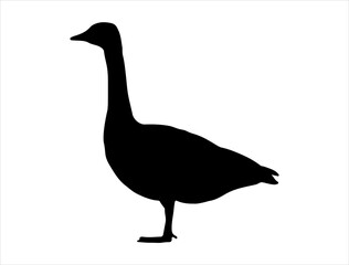 Canada goose silhouette vector art white background