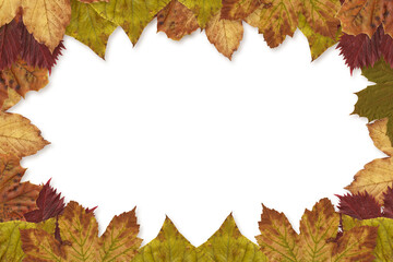 Naklejka na ściany i meble Digital png illustration of frame of autumn leaves on transparent background