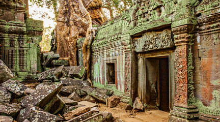 Fototapeta na wymiar Ficus Strangulosa tree growing over doorway Ta Prohm, Angkor Wat
