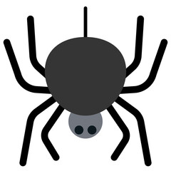 Halloween spider vector illustration