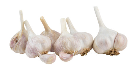 garlic on  transparent png