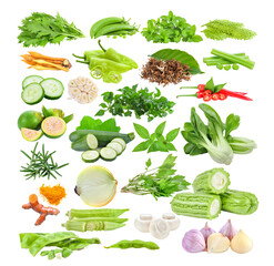 mizuna;  mint; pepper; coffee flower; cucumber; garlic; watercress; celery; Noni fruit; Areca nut; zucchini; Basil; Bok choy; Rosemary; turmeric; onion;  okra; champignon; Bitter bean on transparent 