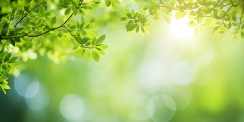 sunshine through blurred green trees, empty abstract summer or spring background banner with...