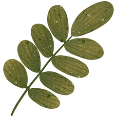 Illustration of leaves turning green