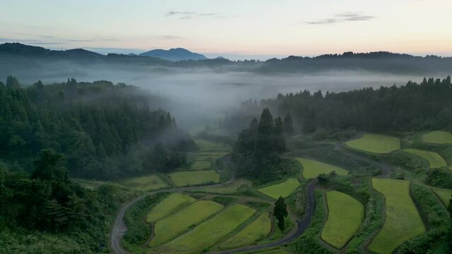 雲海に覆われた秋の棚田の夜明けの空撮