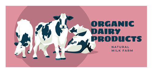 three cows black and white cows on a pink background. Milk advertising dairy products farm advertising. Poster, postcard. Vector flat illustrationairy. Cheese, yogurt, milk. 