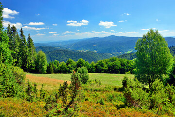 Summer lanscape in Gorce mountains, Poland