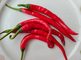 Capsicum annum - Cabe or cabai merah keriting (red curly chili)
