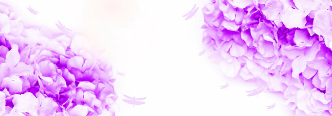 Dreamy blurred background with pink purple flowers and dragonflies. Template banner. Wedding, Birthday, Valentines Day. Purple white toned