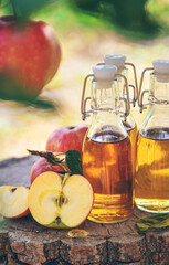 Apple cider vinegar in the garden. Selective focus.