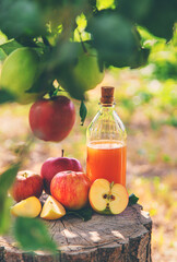 Apple cider vinegar in the garden. Selective focus.