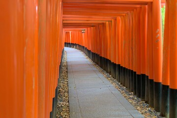 thousands of japan torii 