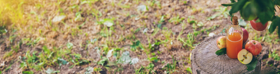 Apple cider vinegar in the garden. Selective focus.