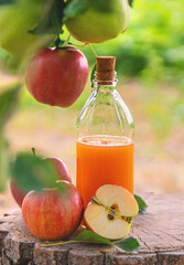 Apple cider vinegar in the garden. Selective focus.