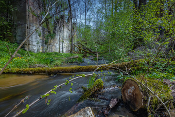 Czartowe Pole Nature Reserve, The gorge of the Devil's Field,  Roztoczanski National Park,   waterfalls and water cascades,  Polish landscapes, tourist trails in Poland