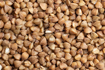 A large amount of harvested buckwheat