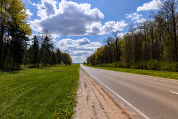 Fototapeta na wymiar paved road in the countryside in the spring forest