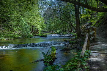 Fototapeta na wymiar Nad Tanwia Nature Reserve, The gorge of the Tanew River, Sopot River, Roztoczanski National Park, Beautiful Polish landscapes, tourist trails in Poland
