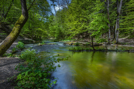 Nad Tanwia Nature Reserve, The gorge of the Tanew River,  Sopot River, Roztoczanski National Park,  Beautiful Polish landscapes, tourist trails in Poland