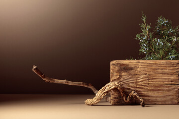 Abstract composition of old wooden plank and juniper branch.