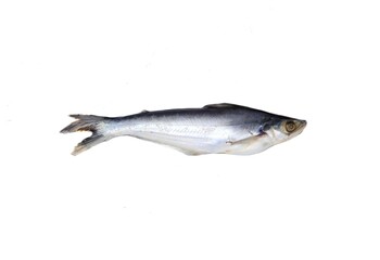 Basa fish is a type of catfish native to Vietnam, scientifically referred as Pangasius bocourti. It is also commonly called river cobbler, Vietnamese cobbler and swai. 