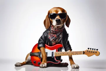 Foto op Plexiglas Beagle Dog Dressed As A Rockstar On White Background © Ян Заболотний
