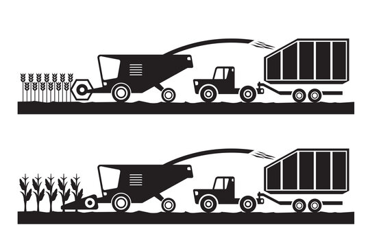 Combine harvester and tractor in wheat and corn fields - vector illustration