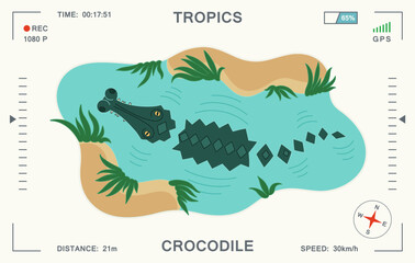 Children's cartoon illustration with a crocodile floating on the river. Top view. Video surveillance with a drone from above. Vector template