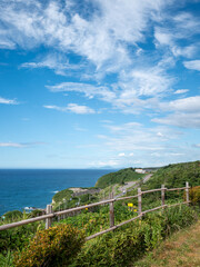 Fototapeta na wymiar 北陸自動車道米山サービスエリア（下り）　夏の日本海の風景