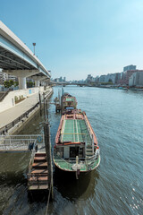 Fototapeta premium 夏の隅田川の風景