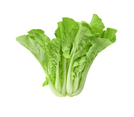 choy isolated on transparent png.