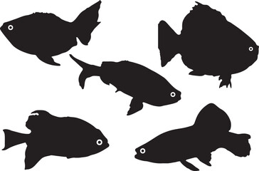 fish shilhouette vector