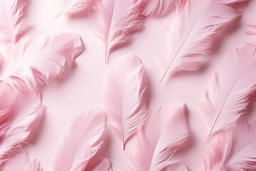 colourful feathers background 
