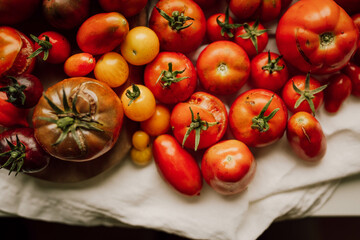 Tomaten Flatlay