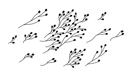 Silhouette branches berrys. Plants decorative. Vector drawing. Collection of design elements.
