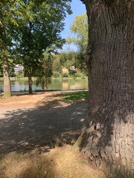 Les &eacute;tangs de Corot &agrave; Ville d'Avray