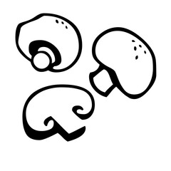 Silhouette of mushrooms