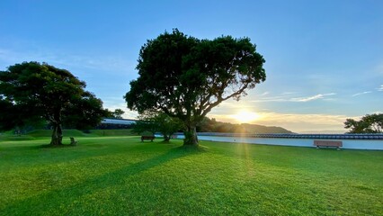 天空の公園