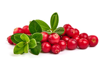 Fresh wild lingonberry berries with leaves, isolated on white background.