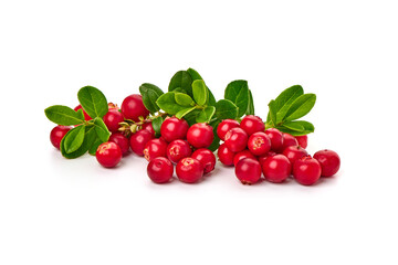 Cranberry with leaves, close-up, isolated on white background.