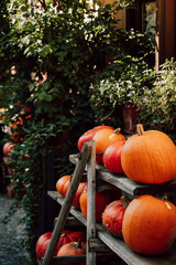 K&uuml;rbis Verkaufsstand