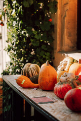 K&uuml;rbis Verkaufsstand