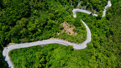 Top view of the road passing through the forest. Aerial view of a winding asphalt road with sharp turns passing through the jungle.