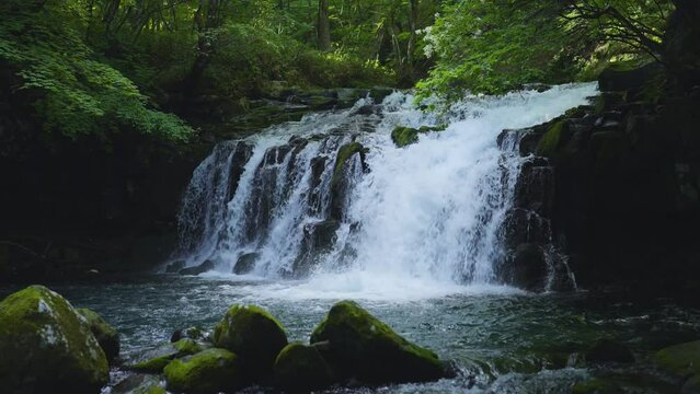 長野県茅野市の蓼科大滝（たてしなおおたき）の風景動画