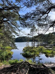 Beautiful scenery and hiking trials in  Kanadaskogen Bergen Norway