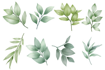 Set of leaves watercolor elements 