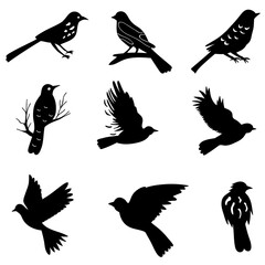 Obraz premium silhouette set of birds on white background vector